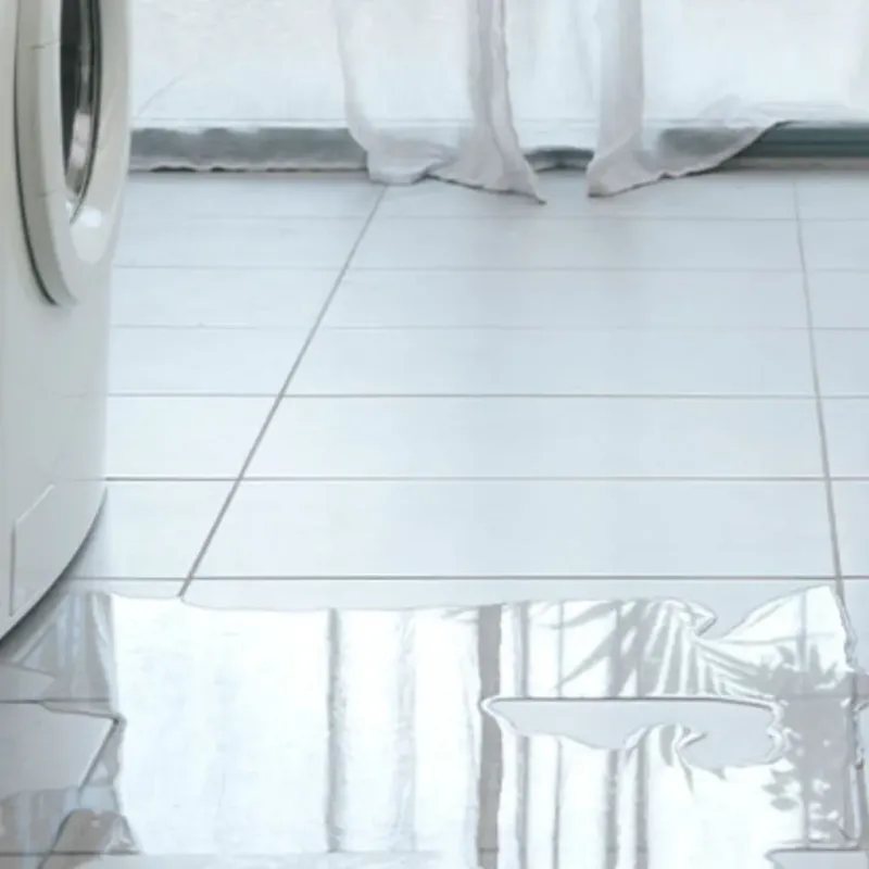 Appliance Leak Cleanup in Allison, IA
