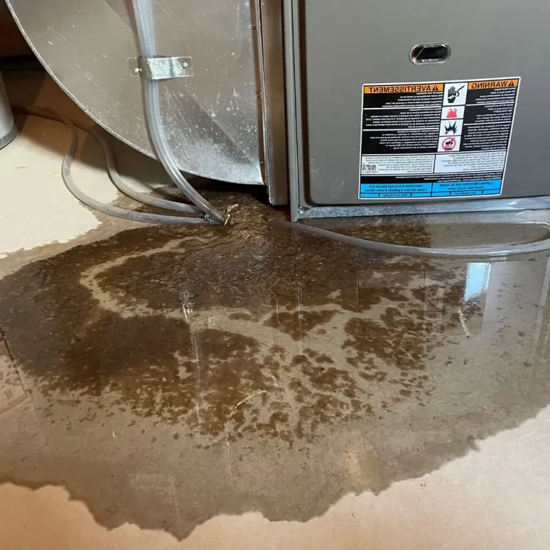Pipe Burst and Leak Restoration in Allison, IA