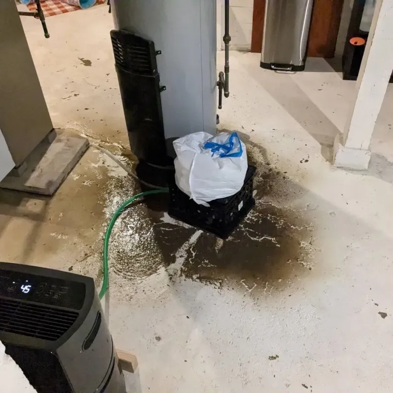 Sewage Backup Cleanup Service in Allison, IA